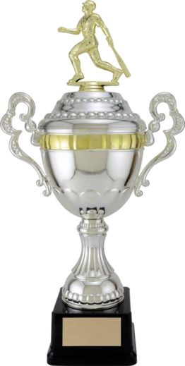 Silver Viceroy Cup
